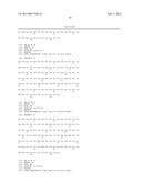 NOVEL ANTIGEN BINDING PROTEIN AND ITS USE AS ADDRESSING PRODUCT FOR THE     TREATMENT OF CANCER diagram and image