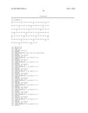 NOVEL ANTIGEN BINDING PROTEIN AND ITS USE AS ADDRESSING PRODUCT FOR THE     TREATMENT OF CANCER diagram and image