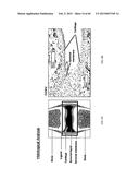 Anti-Tumor Necrosis Factor-Alpha Agents and Uses Thereof diagram and image