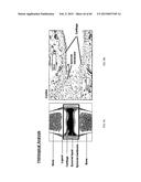 Anti-Tumor Necrosis Factor-Alpha Agents and Uses Thereof diagram and image