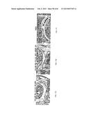 Anti-Tumor Necrosis Factor-Alpha Agents and Uses Thereof diagram and image