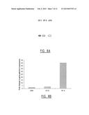 METHOD FOR IDENTIFYING A SUBJECT AT RISK OF DEVELOPING HEART FAILURE BY     DETERMINING THE LEVEL OF GALECTIN-3 OR THROMBOSPONDIN-2 diagram and image