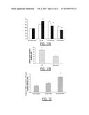 METHOD FOR IDENTIFYING A SUBJECT AT RISK OF DEVELOPING HEART FAILURE BY     DETERMINING THE LEVEL OF GALECTIN-3 OR THROMBOSPONDIN-2 diagram and image