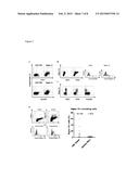 ANTI-SIGLEC-15 ANTIBODIES AND USES THEREOF diagram and image