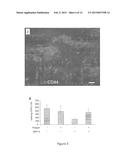 Composition and Methods for Treating Cancer diagram and image