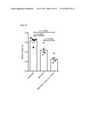 ANTI-TUMOR COMPOSITIONS AND USES THEREOF diagram and image