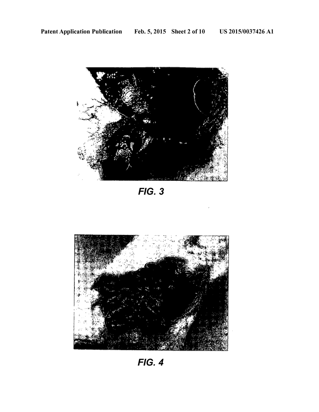 MODIFIED STARCH MATERIAL OF BIOCOMPATIBLE HEMOSTASIS - diagram, schematic, and image 03