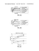 GEOMETRICALLY ENGINEERED PARTICLES AND METHODS FOR MODULATING MACROPHAGE     OR IMMUNE RESPONSES diagram and image