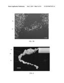 SELF-ASSEMBLY OF COLLAGEN FIBERS FROM DERMIS, FASCIA AND TENDON FOR TISSUE     AUGMENTATION AND COVERAGE OF WOUNDS AND BURNS diagram and image