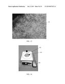 SELF-ASSEMBLY OF COLLAGEN FIBERS FROM DERMIS, FASCIA AND TENDON FOR TISSUE     AUGMENTATION AND COVERAGE OF WOUNDS AND BURNS diagram and image