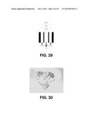 AUTOMATED DEVICES, SYSTEMS, AND METHODS FOR THE FABRICATION OF TISSUE diagram and image