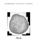 AUTOMATED DEVICES, SYSTEMS, AND METHODS FOR THE FABRICATION OF TISSUE diagram and image