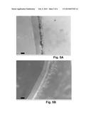 DIPPABLE FLOCK FOR ELASTOMERIC ARTICLES diagram and image