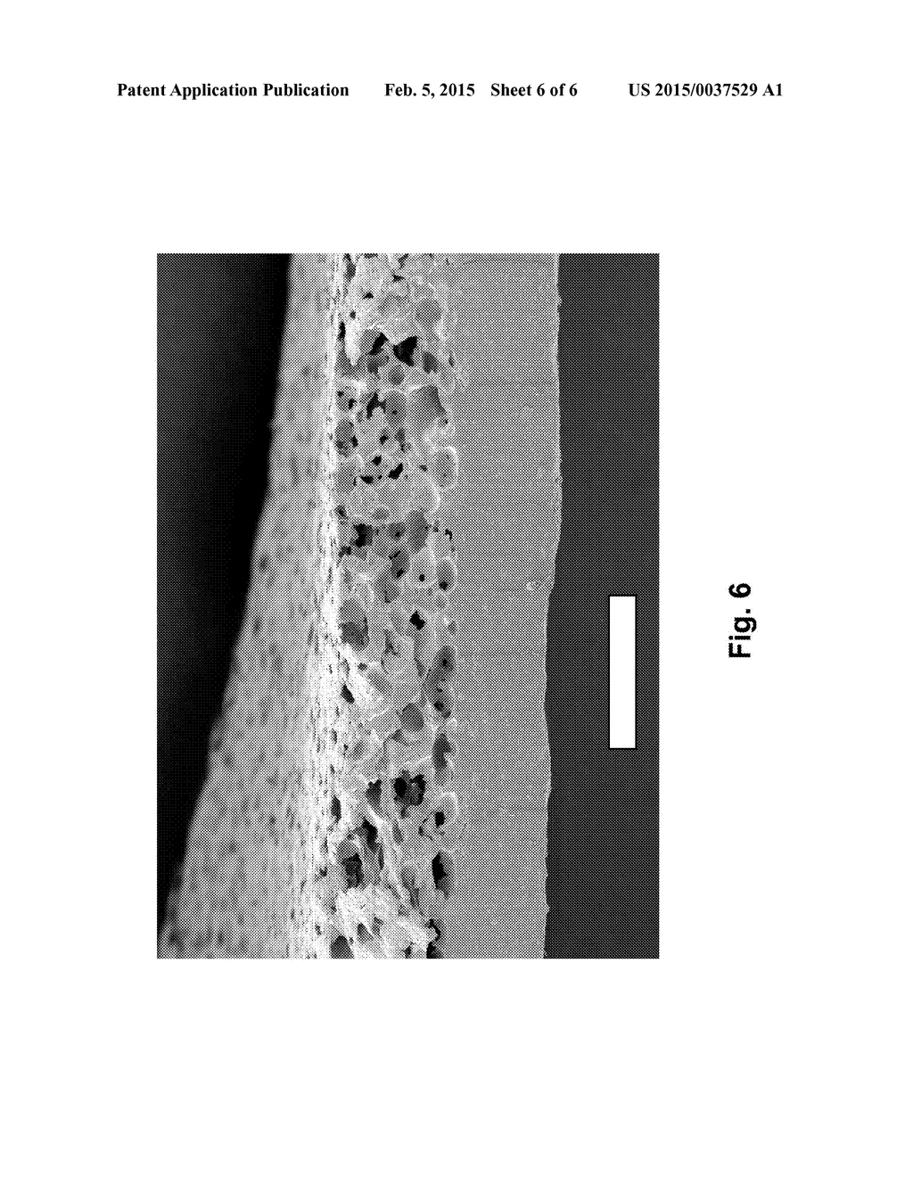 DIPPABLE FLOCK FOR ELASTOMERIC ARTICLES - diagram, schematic, and image 07