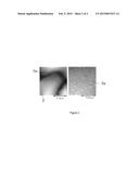 POSITIVE-ELECTRODE MATERIALS: METHODS FOR THEIR PREPARATION AND USE IN     LITHIUM SECONDARY BATTERIES diagram and image