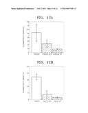 POLYMER, ELECTROLYTE MEMBRANE AND ELECTRODE FOR A FUEL CELL, EACH     INCLUDING THE POLYMER, FUEL CELL INCLUDING AT LEAST ONE OF THE     ELECTROLYTE MEMBRANE, AND THE ELECTRODE diagram and image