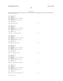 PRIMERS AND METHODS FOR THE DETECTION AND DISCRIMINATION OF NUCLEIC ACIDS diagram and image