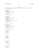 PRIMERS AND METHODS FOR THE DETECTION AND DISCRIMINATION OF NUCLEIC ACIDS diagram and image