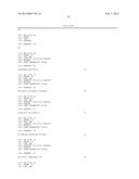 PRIMERS AND METHODS FOR THE DETECTION AND DISCRIMINATION OF NUCLEIC ACIDS diagram and image