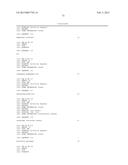 PRIMERS AND METHODS FOR THE DETECTION AND DISCRIMINATION OF NUCLEIC ACIDS diagram and image