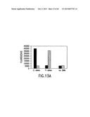 PRIMERS AND METHODS FOR THE DETECTION AND DISCRIMINATION OF NUCLEIC ACIDS diagram and image