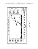 PRIMERS AND METHODS FOR THE DETECTION AND DISCRIMINATION OF NUCLEIC ACIDS diagram and image