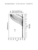 PRIMERS AND METHODS FOR THE DETECTION AND DISCRIMINATION OF NUCLEIC ACIDS diagram and image