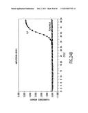 PRIMERS AND METHODS FOR THE DETECTION AND DISCRIMINATION OF NUCLEIC ACIDS diagram and image