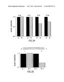 PRIMERS AND METHODS FOR THE DETECTION AND DISCRIMINATION OF NUCLEIC ACIDS diagram and image