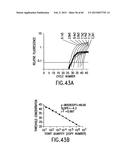 PRIMERS AND METHODS FOR THE DETECTION AND DISCRIMINATION OF NUCLEIC ACIDS diagram and image