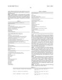 PRIMERS AND METHODS FOR THE DETECTION AND DISCRIMINATION OF NUCLEIC ACIDS diagram and image