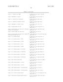 PRIMERS AND METHODS FOR THE DETECTION AND DISCRIMINATION OF NUCLEIC ACIDS diagram and image