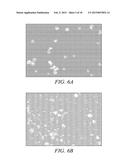 FLUOROGENIC PH SENSITIVE DYES AND THEIR METHOD OF USE diagram and image