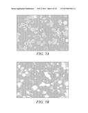 FLUOROGENIC PH SENSITIVE DYES AND THEIR METHOD OF USE diagram and image