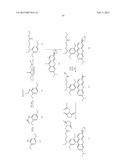 FLUOROGENIC PH SENSITIVE DYES AND THEIR METHOD OF USE diagram and image