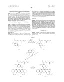 FLUOROGENIC PH SENSITIVE DYES AND THEIR METHOD OF USE diagram and image