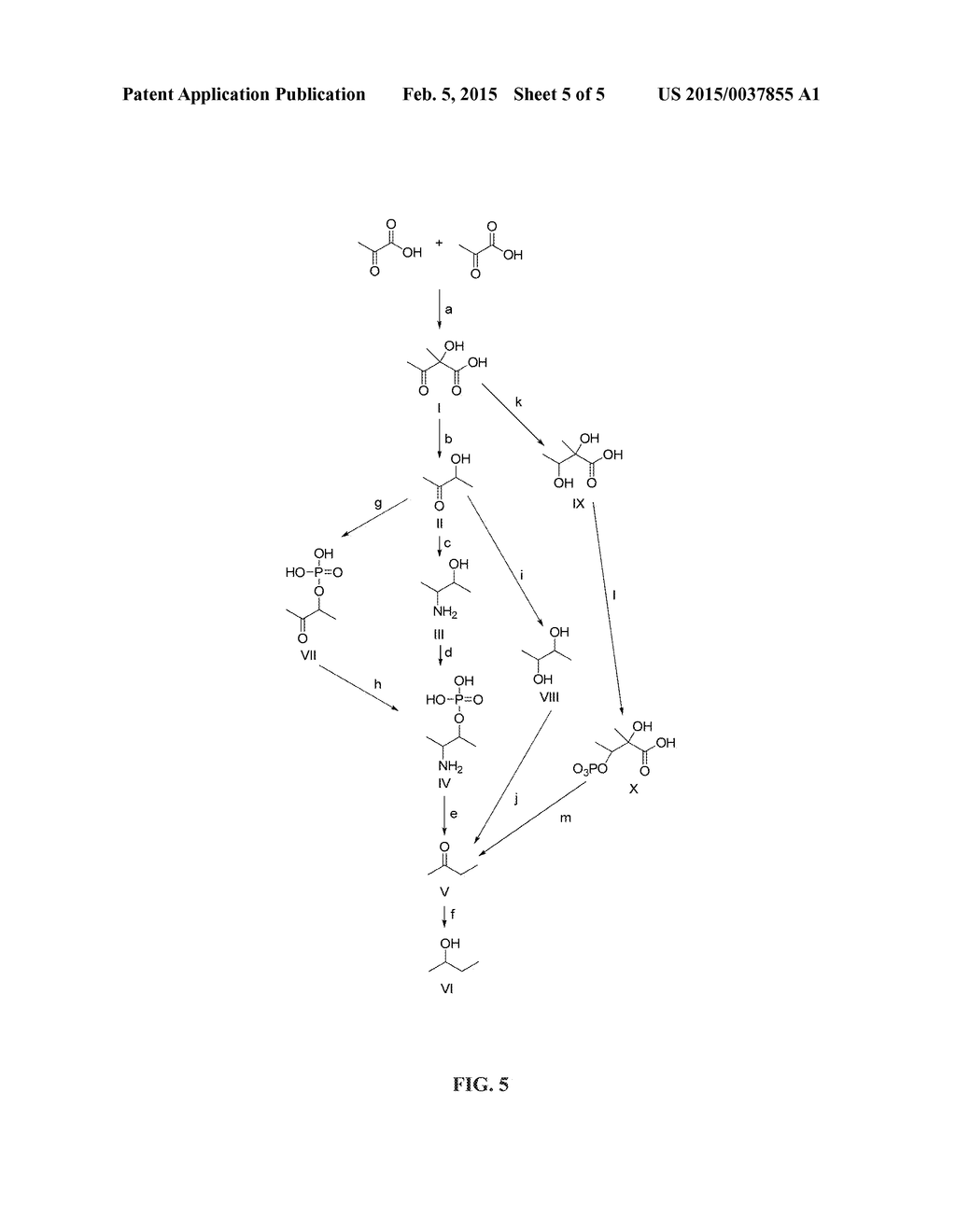 FERMENTATIVE PRODUCTION OF ALCOHOLS - diagram, schematic, and image 06