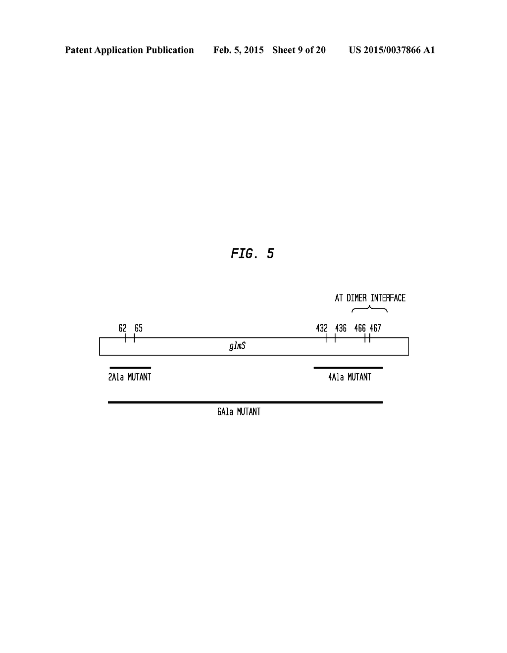 Composition, Method and Kit for Obtaining Purified Recombinant Proteins - diagram, schematic, and image 10