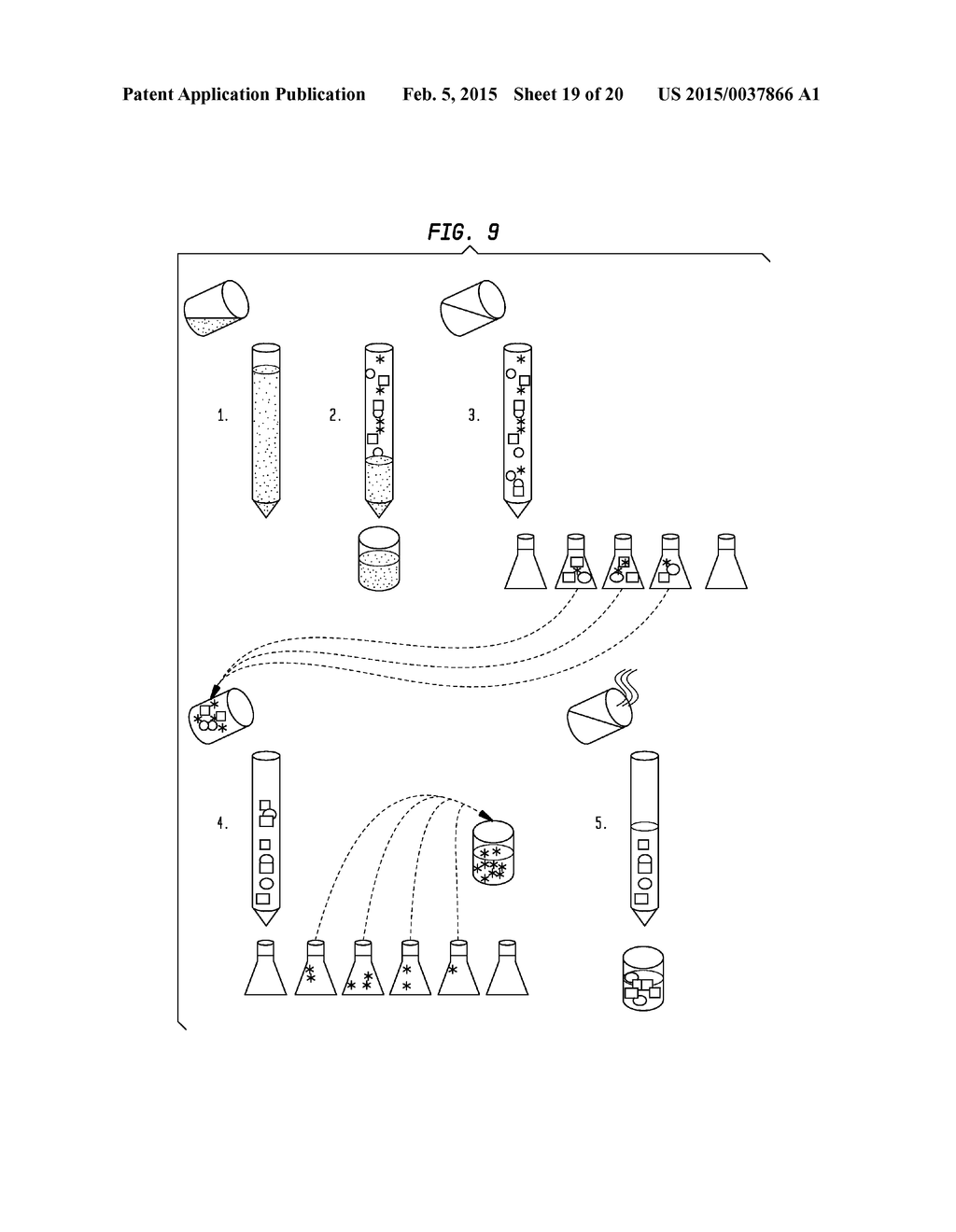 Composition, Method and Kit for Obtaining Purified Recombinant Proteins - diagram, schematic, and image 20