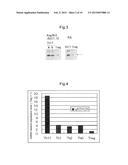 TREATMENT DRUG FOR AUTOIMMUNE DISEASES AND ALLERGIC DISEASES diagram and image