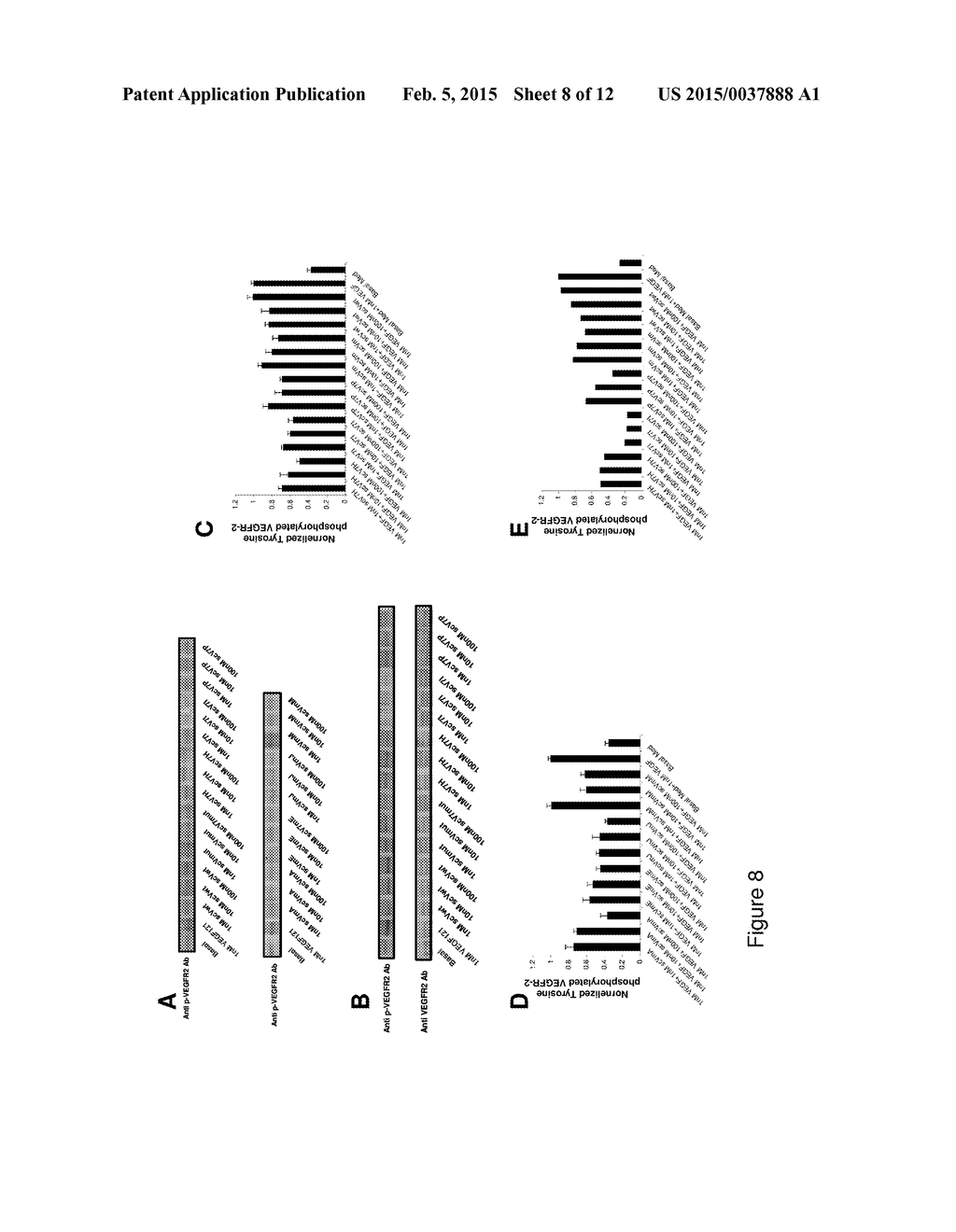 Polypeptides Targeting Vascular Endothelial Growth Factor Receptor-2 and     Alpha V Beta 3 Integrin - diagram, schematic, and image 09