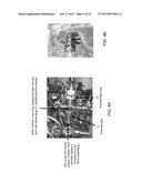 INTERFACE DESIGNED WITH DIFFERENTIAL PUMPING AND BUILT-IN FIGURE OF MERIT     METHOD TO MONITOR CHAMBERS WHERE ENVIRONMENTALLY SENSITIVE SAMPLES ARE     PREPARED AND TRANSFERRED FOR ANALYSIS diagram and image