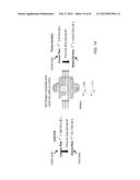 INTERFACE DESIGNED WITH DIFFERENTIAL PUMPING AND BUILT-IN FIGURE OF MERIT     METHOD TO MONITOR CHAMBERS WHERE ENVIRONMENTALLY SENSITIVE SAMPLES ARE     PREPARED AND TRANSFERRED FOR ANALYSIS diagram and image