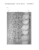 FIBER STRUCTURE diagram and image