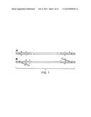 Random Array DNA Analysis by Hybridization diagram and image