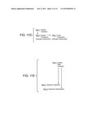 Random Array DNA Analysis by Hybridization diagram and image