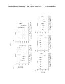 Methods and Molecular Pharmacodynamic Biomarkers for Multiple Signaling     Pathways in Response to Carboxyamidotriazole Orotate diagram and image