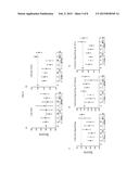 Methods and Molecular Pharmacodynamic Biomarkers for Multiple Signaling     Pathways in Response to Carboxyamidotriazole Orotate diagram and image