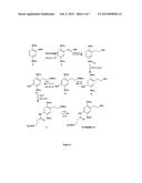 Immunoassay for Phenethylamines of the 2C and DO Sub-Families diagram and image