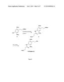 Immunoassay for Phenethylamines of the 2C and DO Sub-Families diagram and image